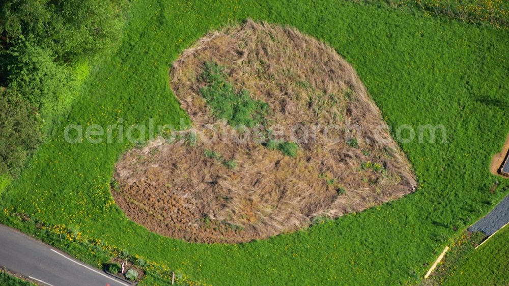 Aerial image Königswinter - Meadow in heart shape in Koenigswinter-Rauschendorf in the state North Rhine-Westphalia, Germany