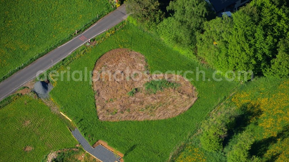 Aerial photograph Königswinter - Meadow in heart shape in Koenigswinter-Rauschendorf in the state North Rhine-Westphalia, Germany