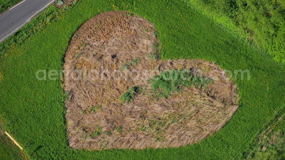 Königswinter from above - Meadow in heart shape in Koenigswinter-Rauschendorf in the state North Rhine-Westphalia, Germany