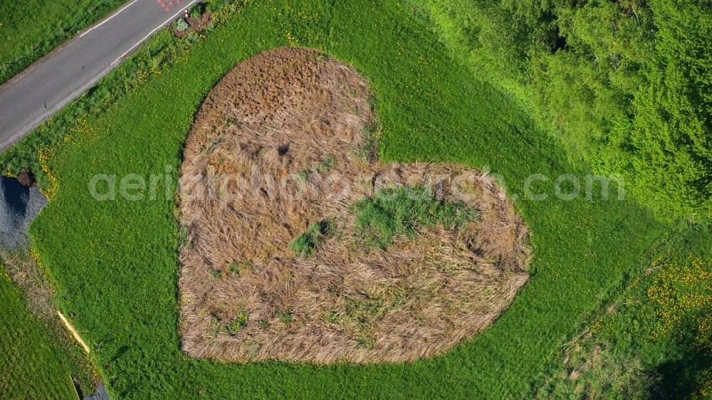 Königswinter from the bird's eye view: Meadow in heart shape in Koenigswinter-Rauschendorf in the state North Rhine-Westphalia, Germany