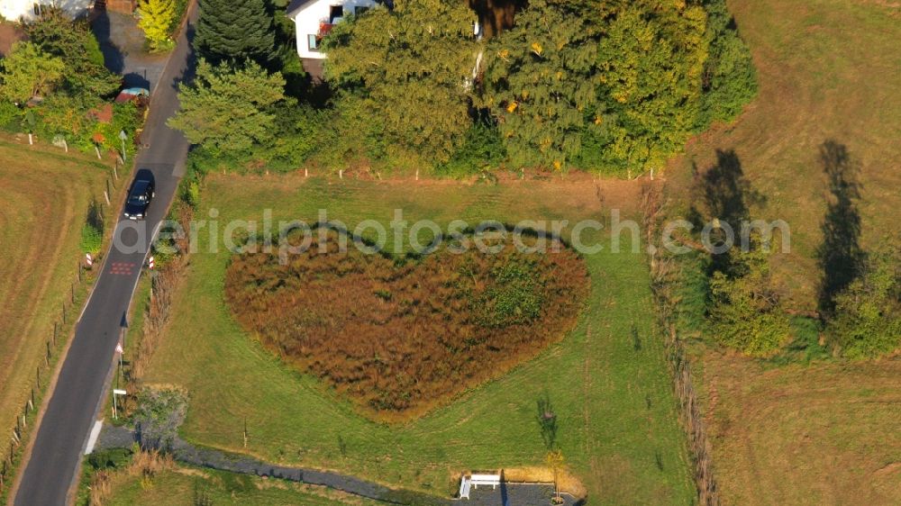 Rauschendorf from above - Meadow in heart shape in Koenigswinter-Rauschendorf in the state North Rhine-Westphalia, Germany