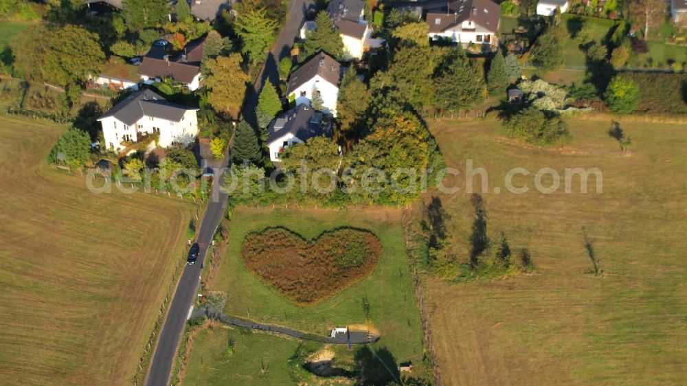 Rauschendorf from the bird's eye view: Meadow in heart shape in Koenigswinter-Rauschendorf in the state North Rhine-Westphalia, Germany