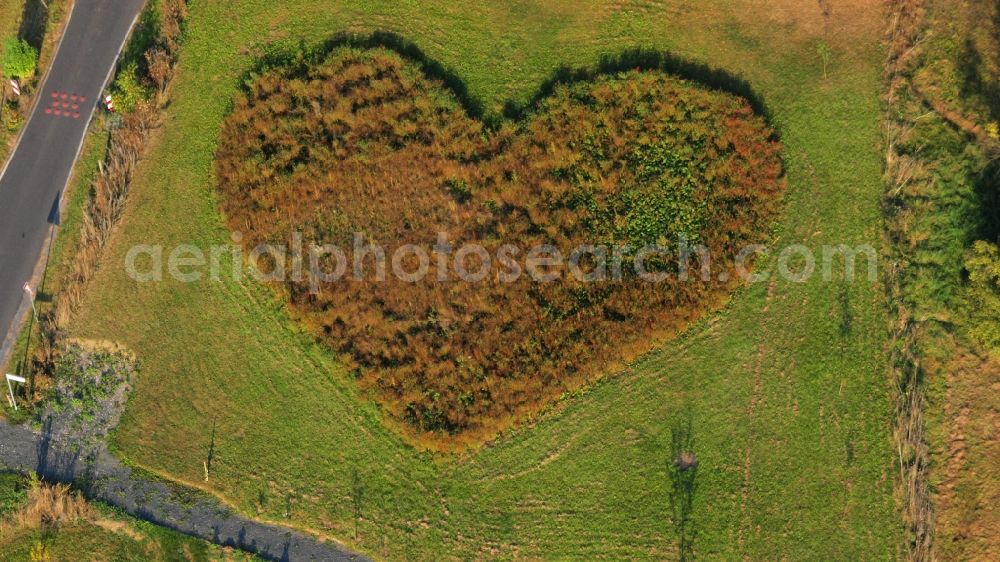 Aerial image Rauschendorf - Meadow in heart shape in Koenigswinter-Rauschendorf in the state North Rhine-Westphalia, Germany