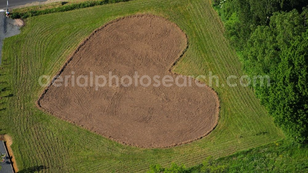 Rauschendorf from the bird's eye view: Meadow in heart shape in Koenigswinter-Rauschendorf in the state North Rhine-Westphalia, Germany