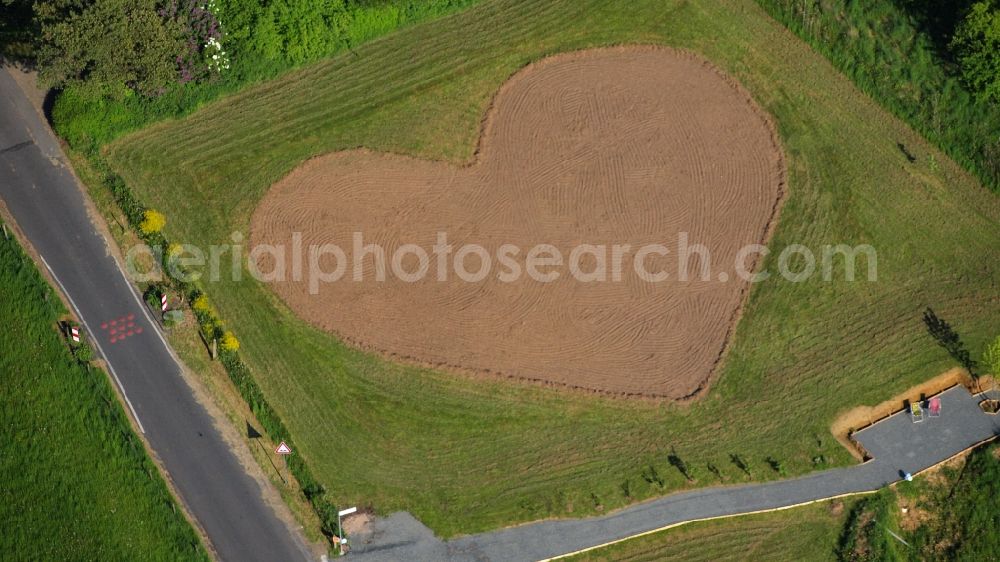 Aerial photograph Rauschendorf - Meadow in heart shape in Koenigswinter-Rauschendorf in the state North Rhine-Westphalia, Germany