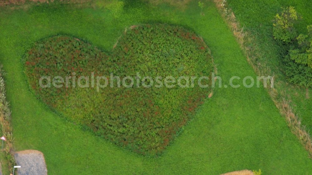 Rauschendorf from above - Meadow in heart shape in Koenigswinter-Rauschendorf in the state North Rhine-Westphalia, Germany