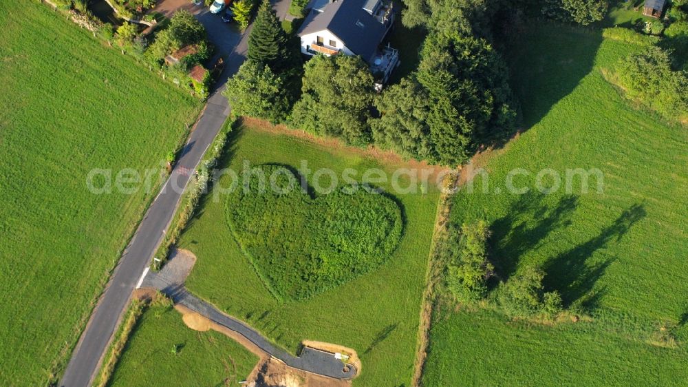 Aerial image Rauschendorf - Meadow in heart shape in Koenigswinter-Rauschendorf in the state North Rhine-Westphalia, Germany