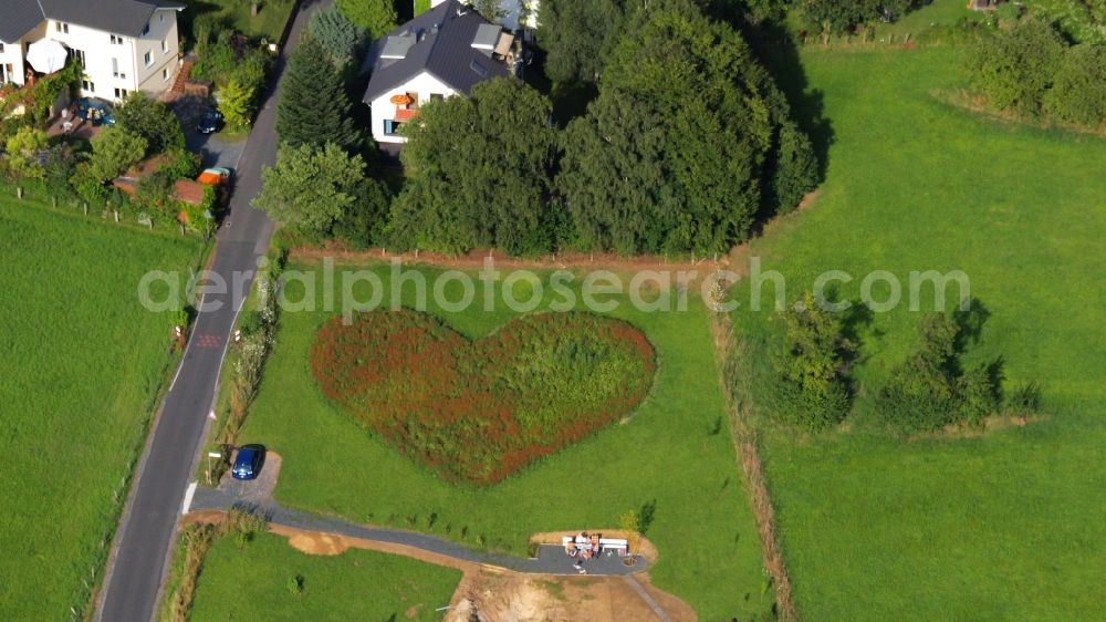 Rauschendorf from the bird's eye view: Meadow in heart shape in Koenigswinter-Rauschendorf in the state North Rhine-Westphalia, Germany