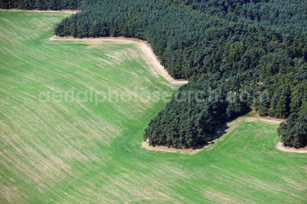 Ortrand from above - Meadows Field to the forest near Ortrand in Brandenburg