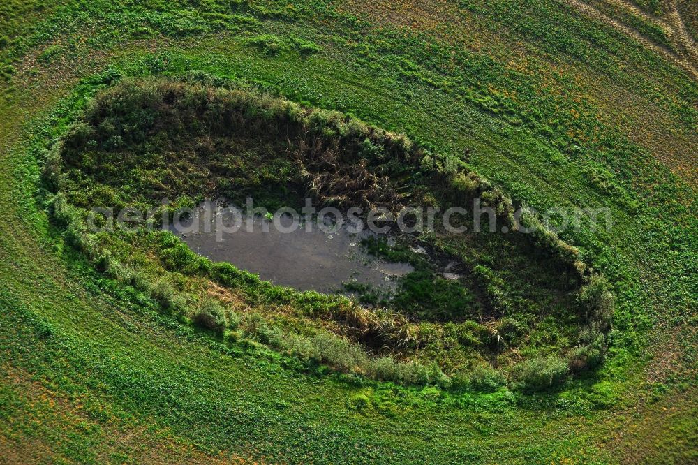 Schönhausen from the bird's eye view: Meadow and field ponds in the undulating landscape at Schoenhausen in the state of Mecklenburg-Western Pomerania