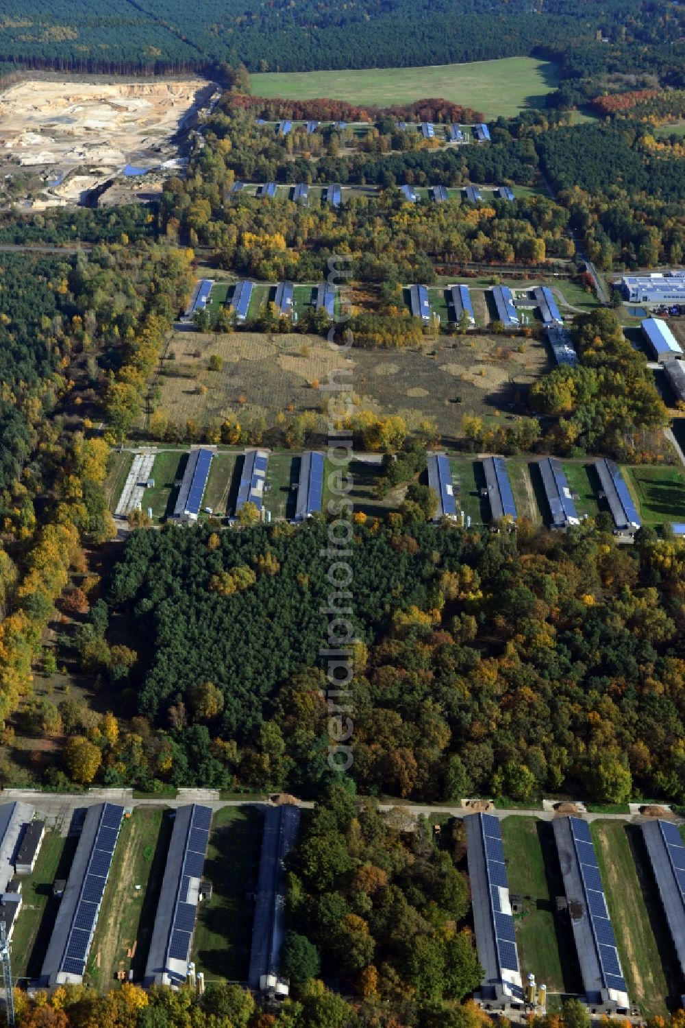 Zernsdorf from the bird's eye view: Wiesenhof poultry farm feedlot on Segelfliegerdamm in Zernsdorf in Brandenburg