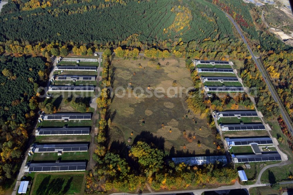 Aerial photograph Zernsdorf - Wiesenhof poultry farm feedlot on Segelfliegerdamm in Zernsdorf in Brandenburg