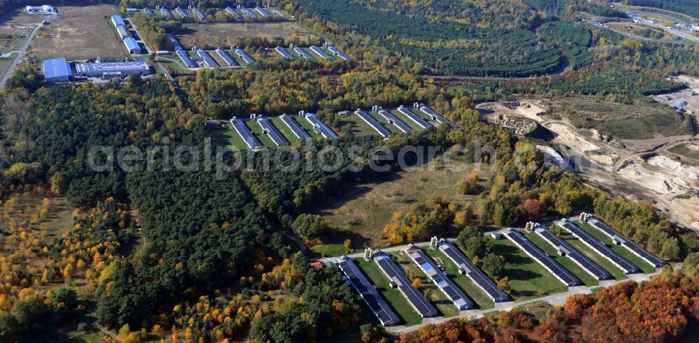 Aerial image Zernsdorf - Wiesenhof poultry farm feedlot on Segelfliegerdamm in Zernsdorf in Brandenburg