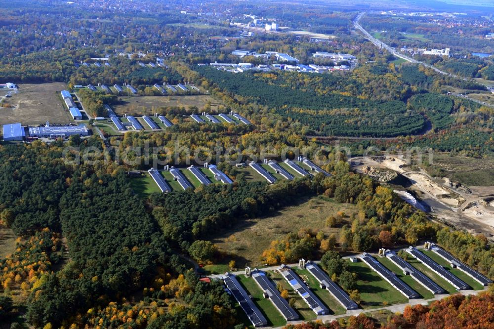 Aerial photograph Zernsdorf - Wiesenhof poultry farm feedlot on Segelfliegerdamm in Zernsdorf in Brandenburg