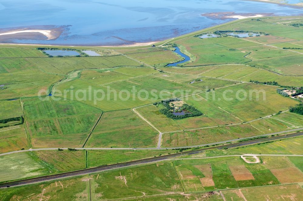 Sylt from above - Meadowland view of Archsum on the island of Sylt in Schleswig-Holstein