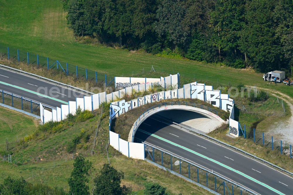 Aerial photograph Feldschlößchen - Bridge structure of a wildlife bridge designed as a green bridge - wildlife crossing bridge over the road S177 Kamenzer Strasse in Feldschloesschen in the state Saxony, Germany