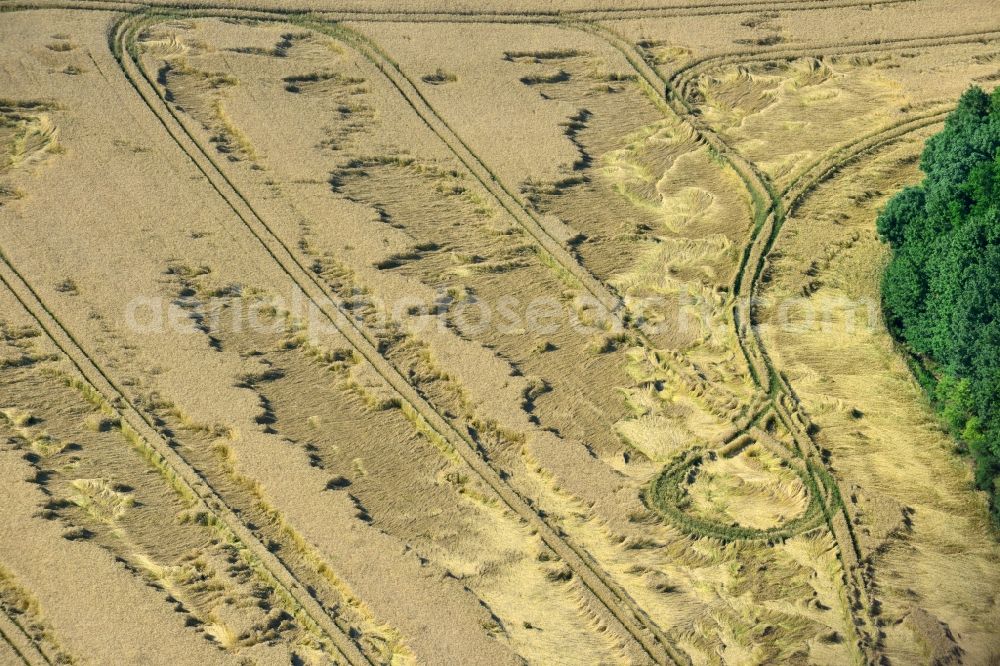 Rauschwitz from above - Wind gusts and storm damage tracks on a grain field in Rauschwitz in Thuringia