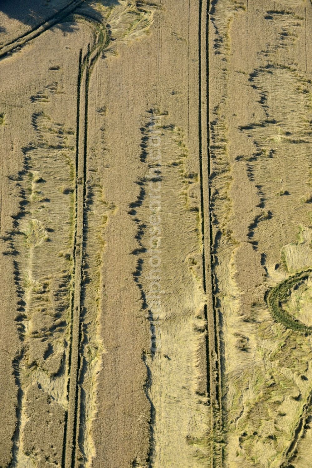 Aerial photograph Rauschwitz - Wind gusts and storm damage tracks on a grain field in Rauschwitz in Thuringia