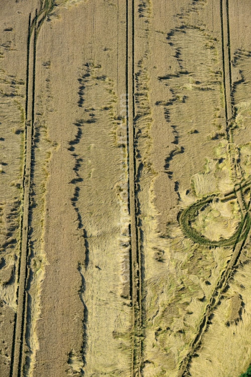 Rauschwitz from above - Wind gusts and storm damage tracks on a grain field in Rauschwitz in Thuringia