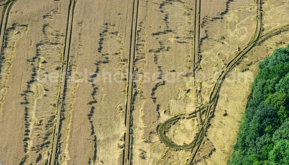 Rauschwitz from the bird's eye view: Wind gusts and storm damage tracks on a grain field in Rauschwitz in Thuringia