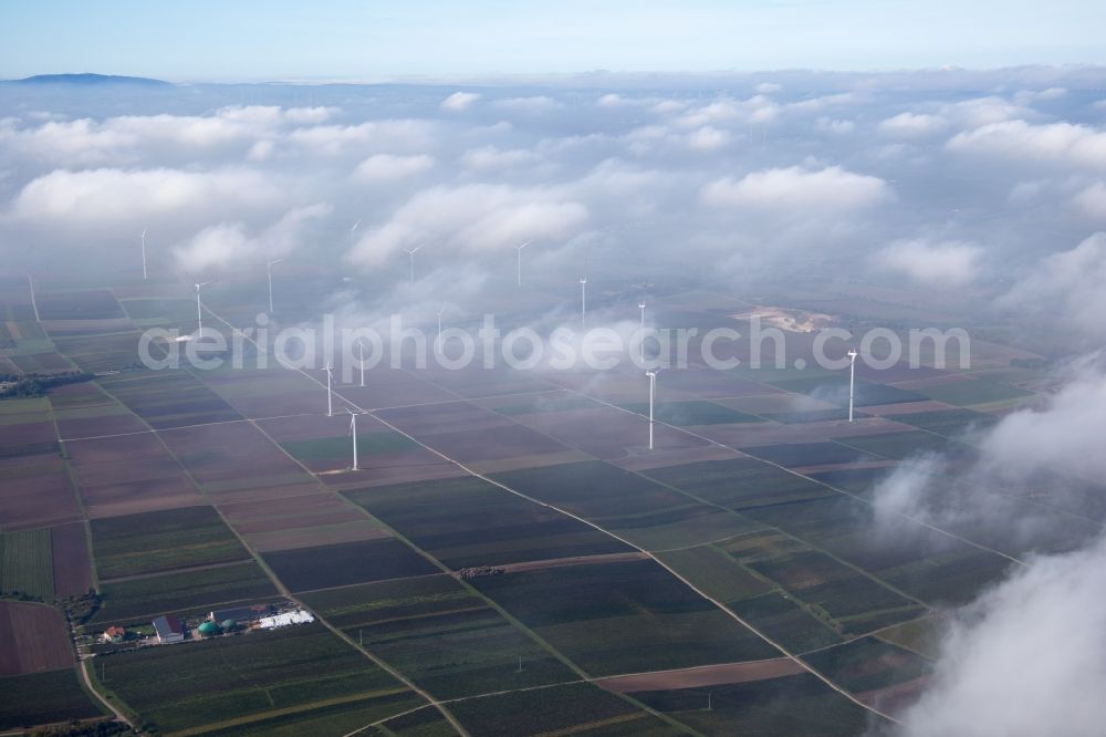 Worms from the bird's eye view: Wind energy installations embedded under a cloud layer on a field near Worms in the state Rhineland-Palatinate