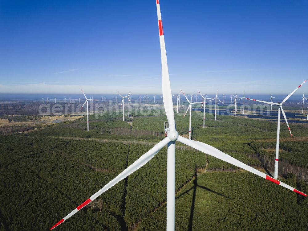 Aerial image Schipkau - Wind turbines (WEA) - wind turbines - on a field near Schipkau in the state Brandenburg, Germany