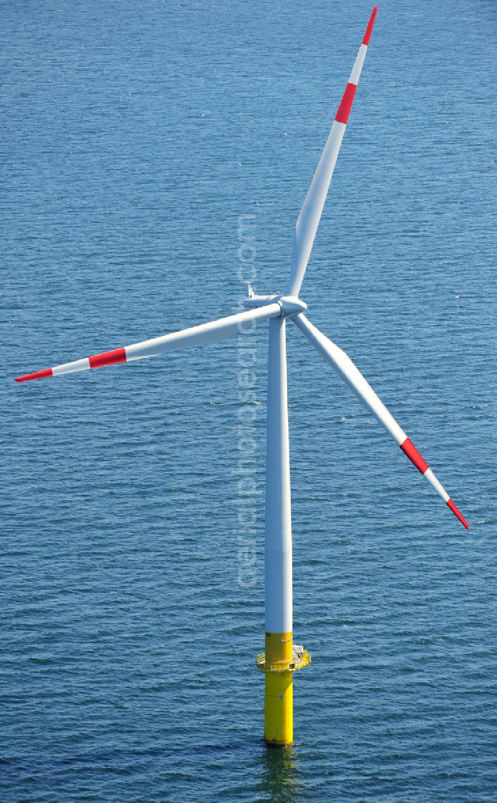 Aerial image Zingst - Wind turbines of the offshore wind farm EnBW Baltic 1 on the water surface of Baltic Sea in Zingst in the state Mecklenburg - Western Pomerania, Germany