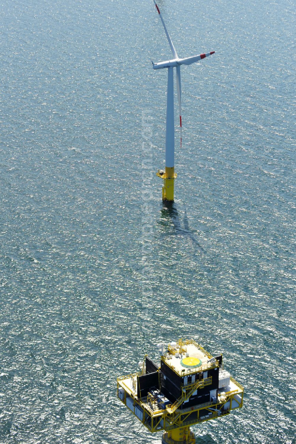 Aerial image Zingst - Wind turbines of the offshore wind farm EnBW Baltic 1 on the water surface of Baltic Sea in Zingst in the state Mecklenburg - Western Pomerania, Germany