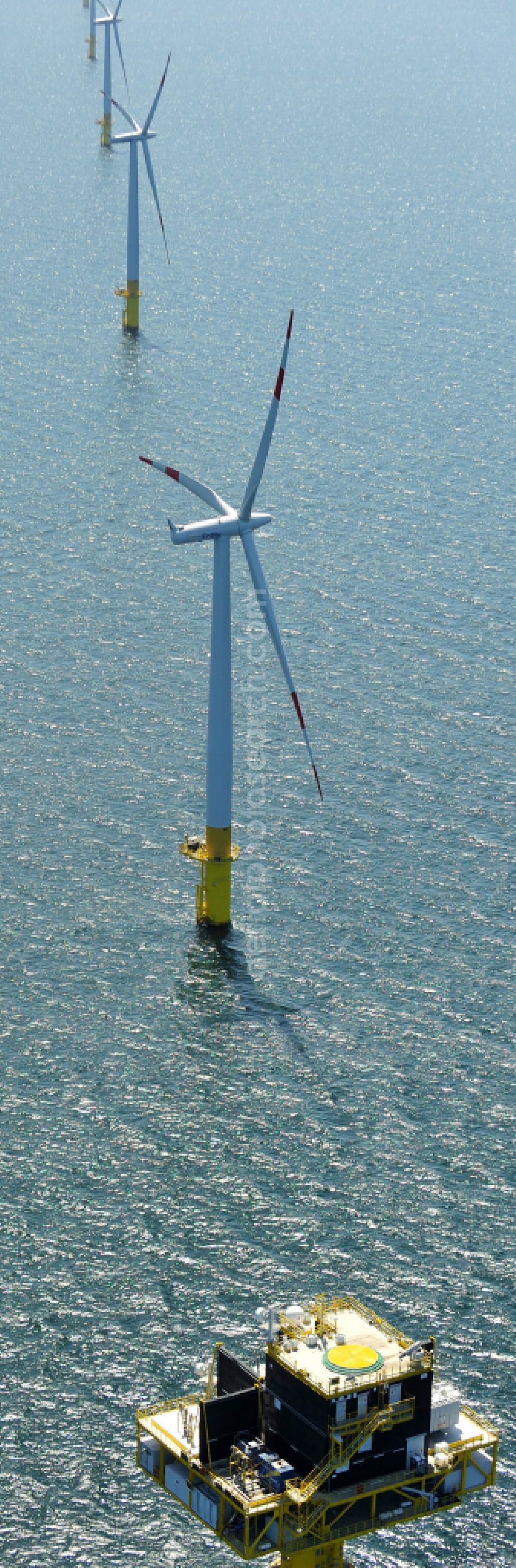 Aerial photograph Zingst - Wind turbines of the offshore wind farm EnBW Baltic 1 on the water surface of Baltic Sea in Zingst in the state Mecklenburg - Western Pomerania, Germany