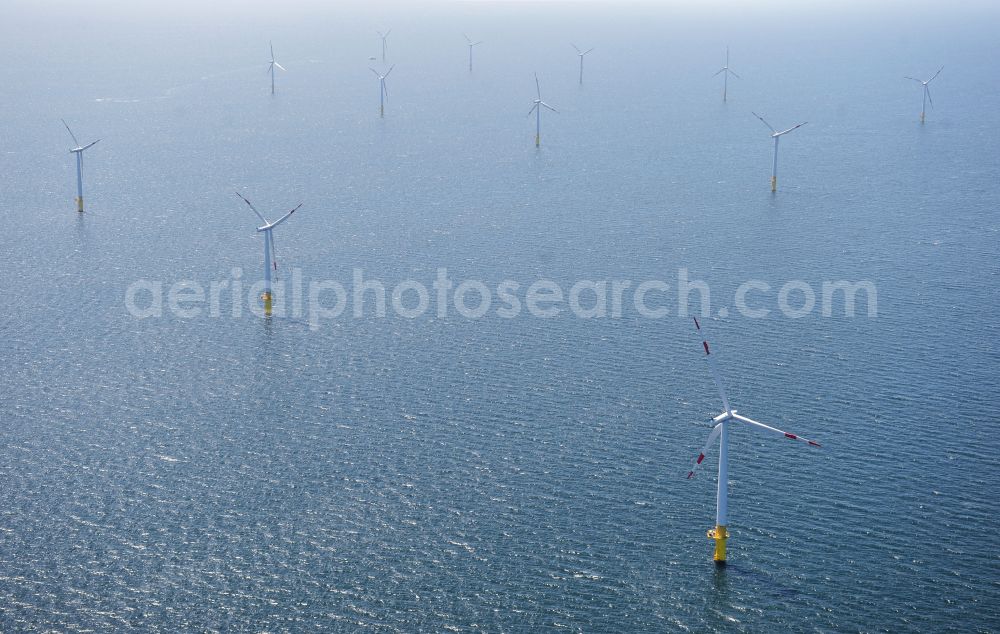 Zingst from above - Wind turbines of the offshore wind farm EnBW Baltic 1 on the water surface of Baltic Sea in Zingst in the state Mecklenburg - Western Pomerania, Germany