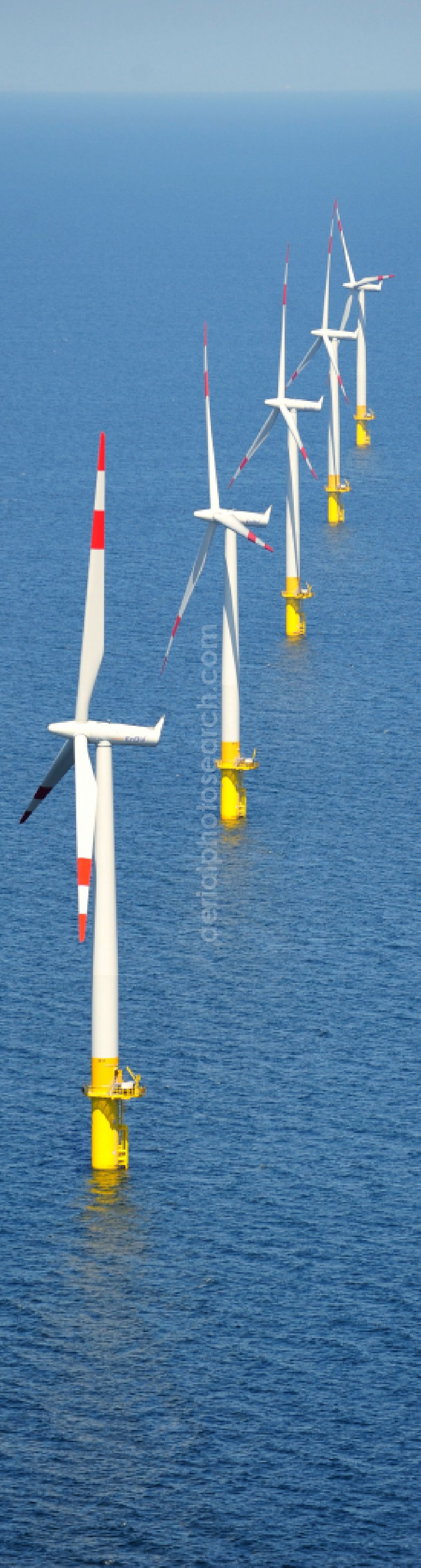 Aerial image Zingst - Wind turbines of the offshore wind farm EnBW Baltic 1 on the water surface of Baltic Sea in Zingst in the state Mecklenburg - Western Pomerania, Germany