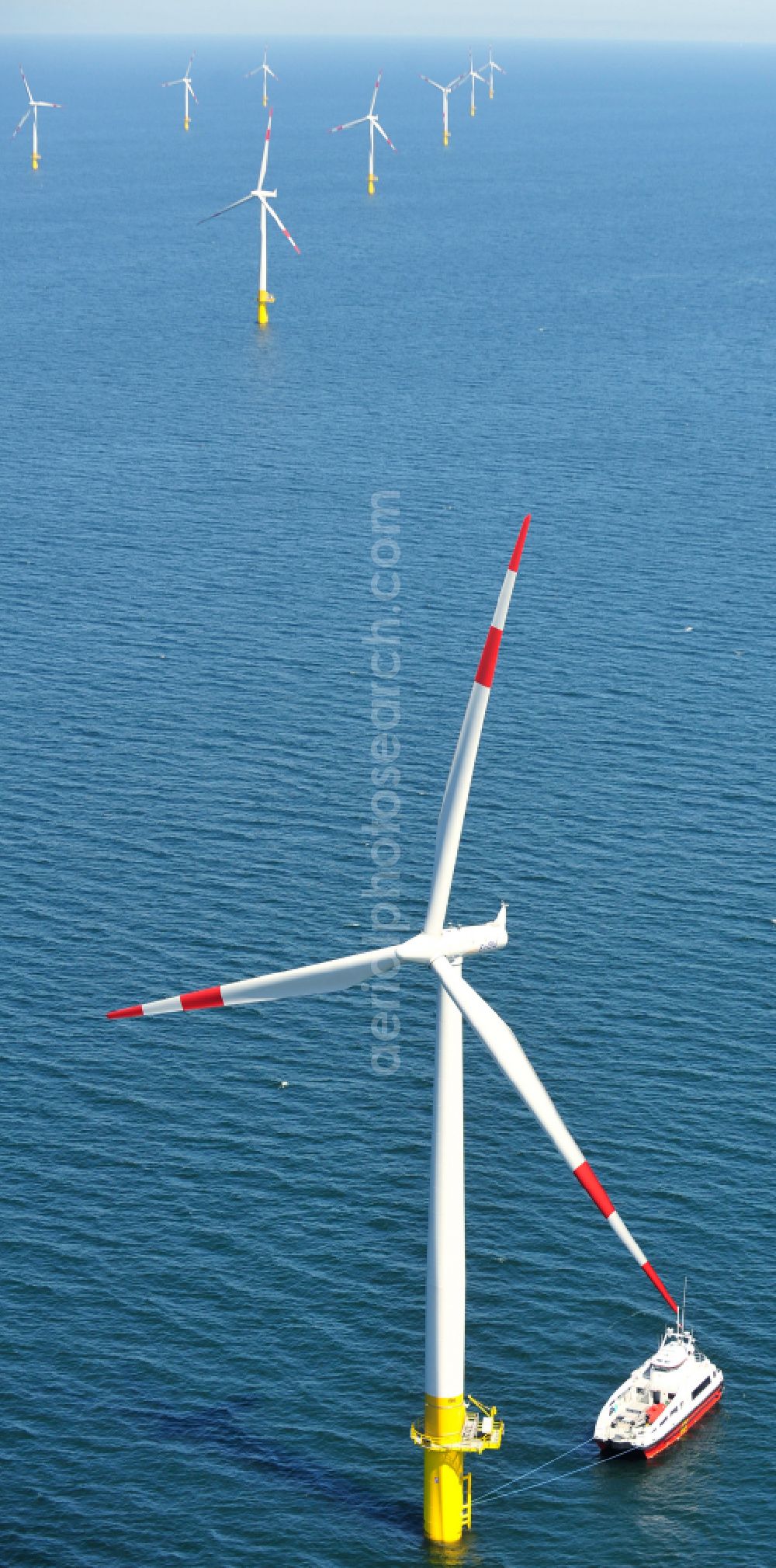 Aerial photograph Zingst - Wind turbines of the offshore wind farm EnBW Baltic 1 on the water surface of Baltic Sea in Zingst in the state Mecklenburg - Western Pomerania, Germany