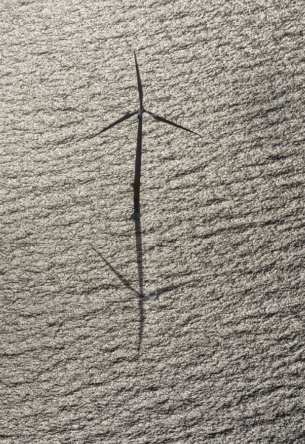 Aerial image Zingst - Wind turbines of the offshore wind farm EnBW Baltic 1 on the water surface of Baltic Sea in Zingst auf der Ostsee in the state Mecklenburg - Western Pomerania, Germany