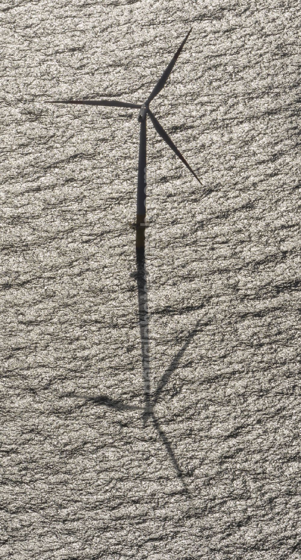 Aerial photograph Zingst - Wind turbines of the offshore wind farm EnBW Baltic 1 on the water surface of Baltic Sea in Zingst auf der Ostsee in the state Mecklenburg - Western Pomerania, Germany