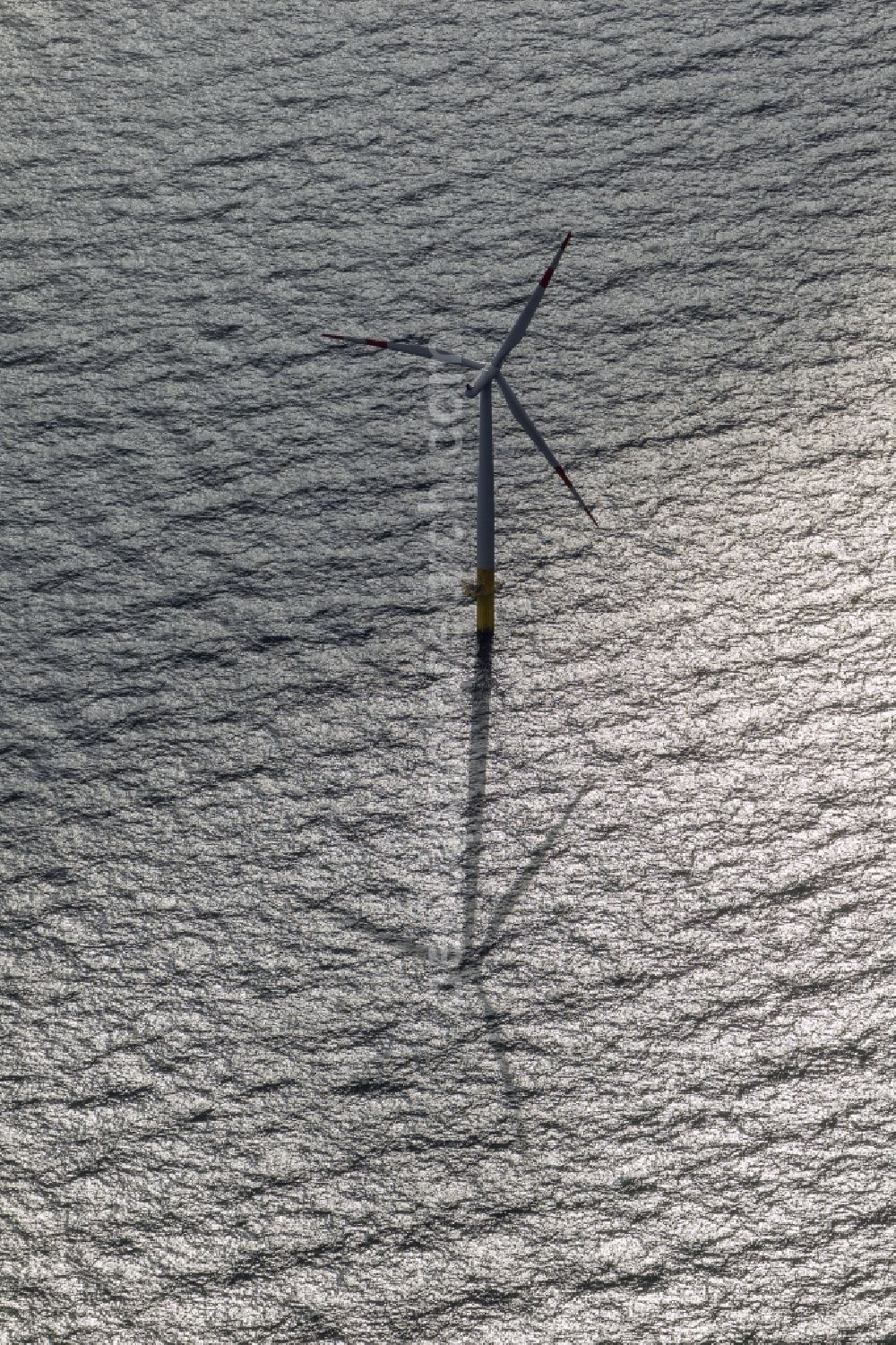 Zingst from the bird's eye view: Wind turbines of the offshore wind farm EnBW Baltic 1 on the water surface of Baltic Sea in Zingst auf der Ostsee in the state Mecklenburg - Western Pomerania, Germany