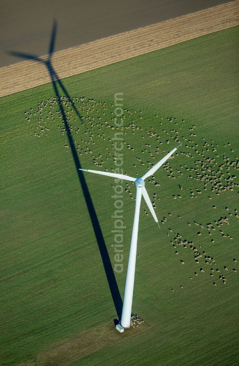 Baesweiler from above - Wind turbine windmills on a field in the district Uebach in Baesweiler in the state North Rhine-Westphalia