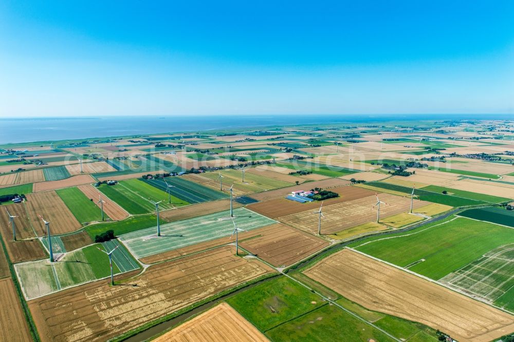 Aerial photograph Friedrichskoog - Wind turbine windmills on a field in the district Hamburg Metropolitan Area in Friedrichskoog in the state Schleswig-Holstein