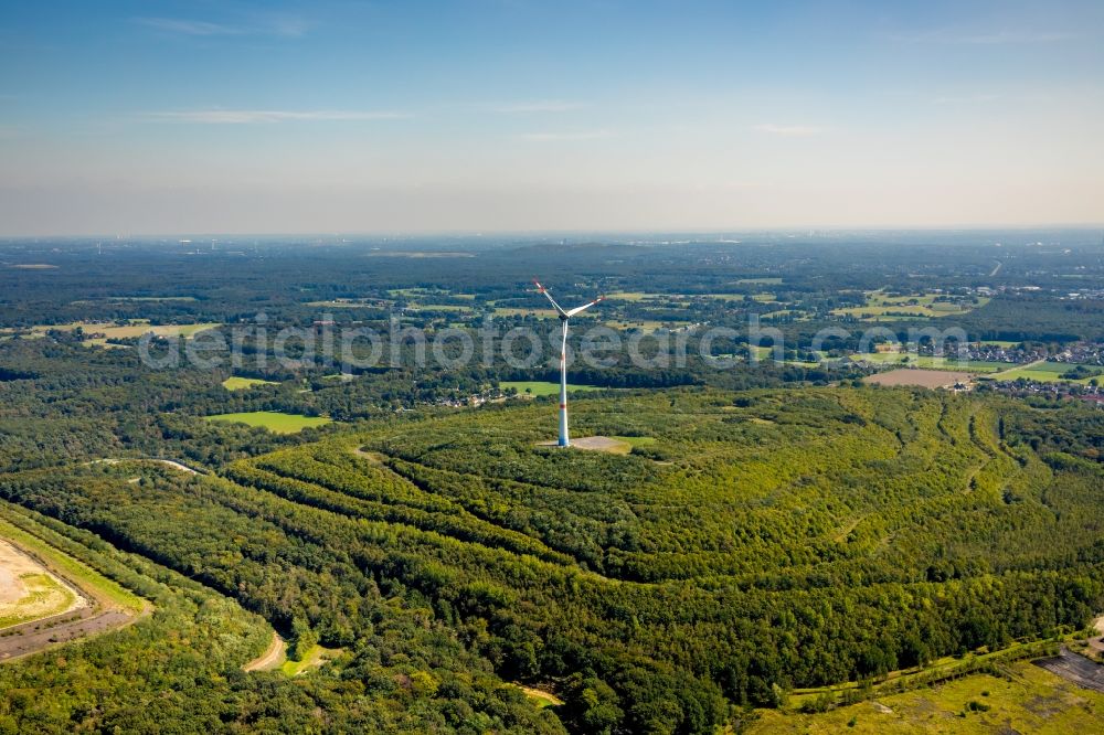 Aerial photograph Dinslaken - Wind turbine windmills (WEA) in a forest area at the Haldenlandschaft Lohberg in Dinslaken in the state North Rhine-Westphalia, Germany