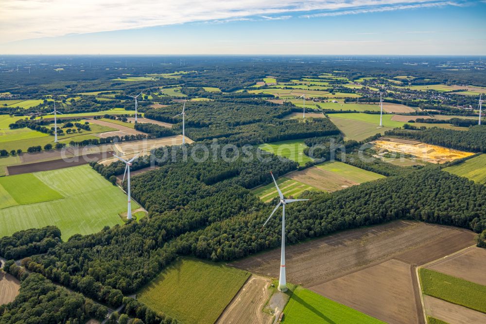 Haltern am See from above - wind turbine windmills (WEA) in a forest area in Haltern am See in the state North Rhine-Westphalia, Germany