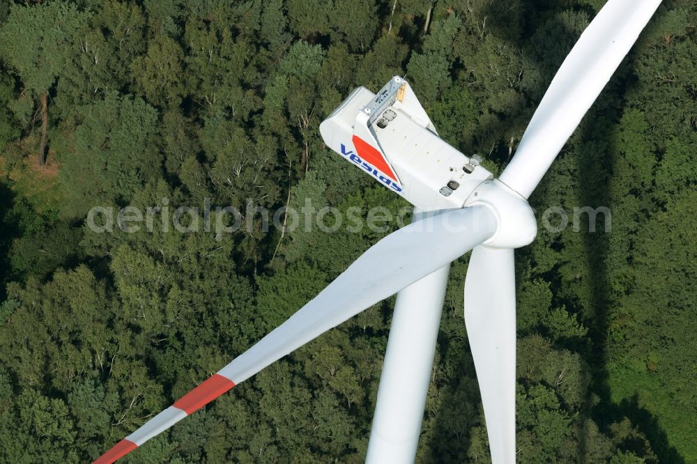 Aerial photograph Sallgast - Wind turbine of Vestas Wind Systems on the edge of the forest wind farm of Goellnitz-Lieskau-Rehain in Sallgast in the state of Brandenburg