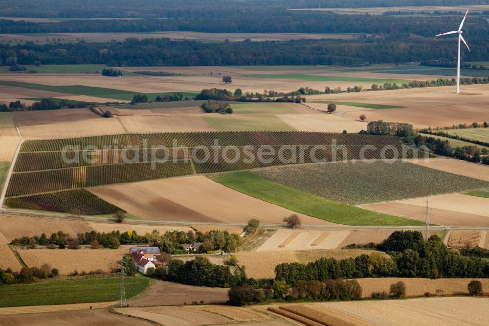 Minfeld from above - Windmill near watermill Altmuehle on a farm homestead on the edge of cultivated fields in Minfeld in the state Rhineland-Palatinate