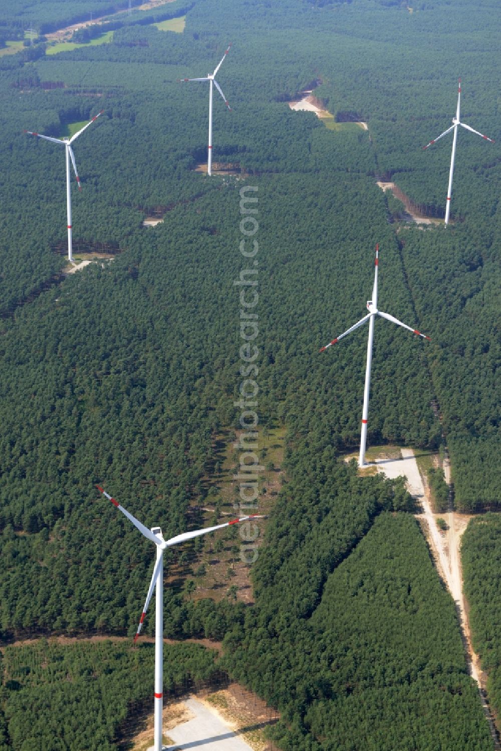 Sallgast from the bird's eye view: Wind turbines of the wind farm Goellnitz-Lieskau-Rehain in Sallgast in the state of Brandenburg. The park is the largest forest wind farm of Germany