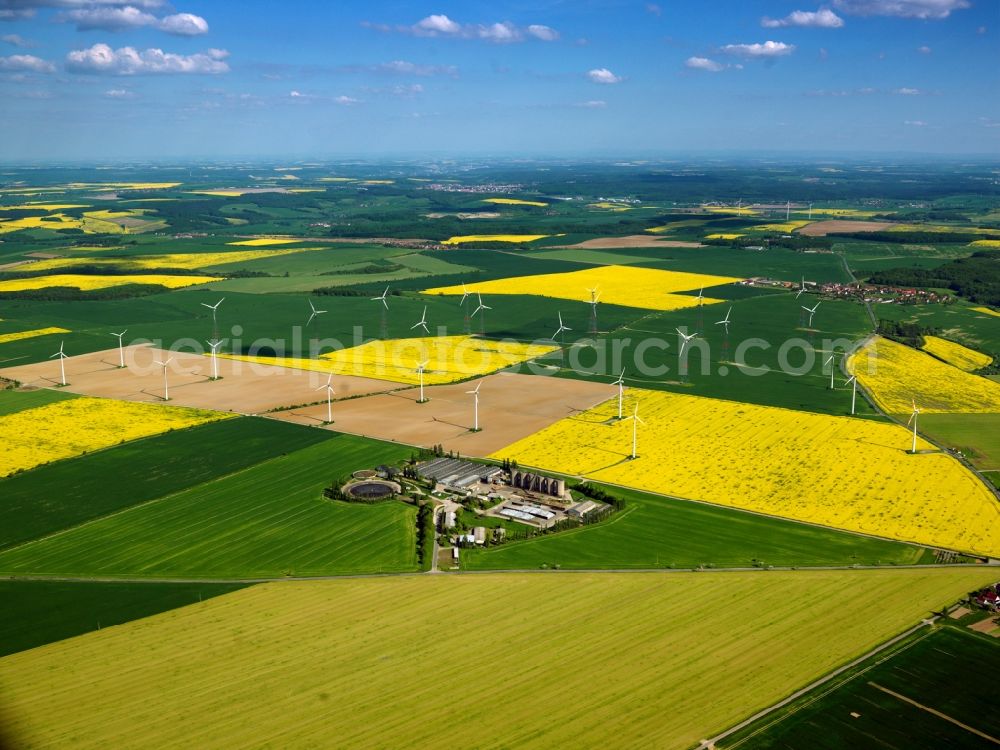 Frauenprießnitz from the bird's eye view: Wind power wheels and turbines in the county district of Frauenprießnitz in the community of Dornburg-Camburg in the state of Thüringen. The turbines are placed between canola and other fields. Overview of the agricultural structures as well as the wheels used to create energy. The purification plant of Frauenprießnitz is visible as well