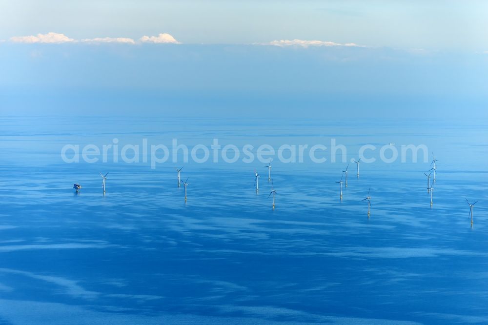 Born am Darß from the bird's eye view: Windpark in Born am Darss in the state Mecklenburg - Western Pomerania, Germany