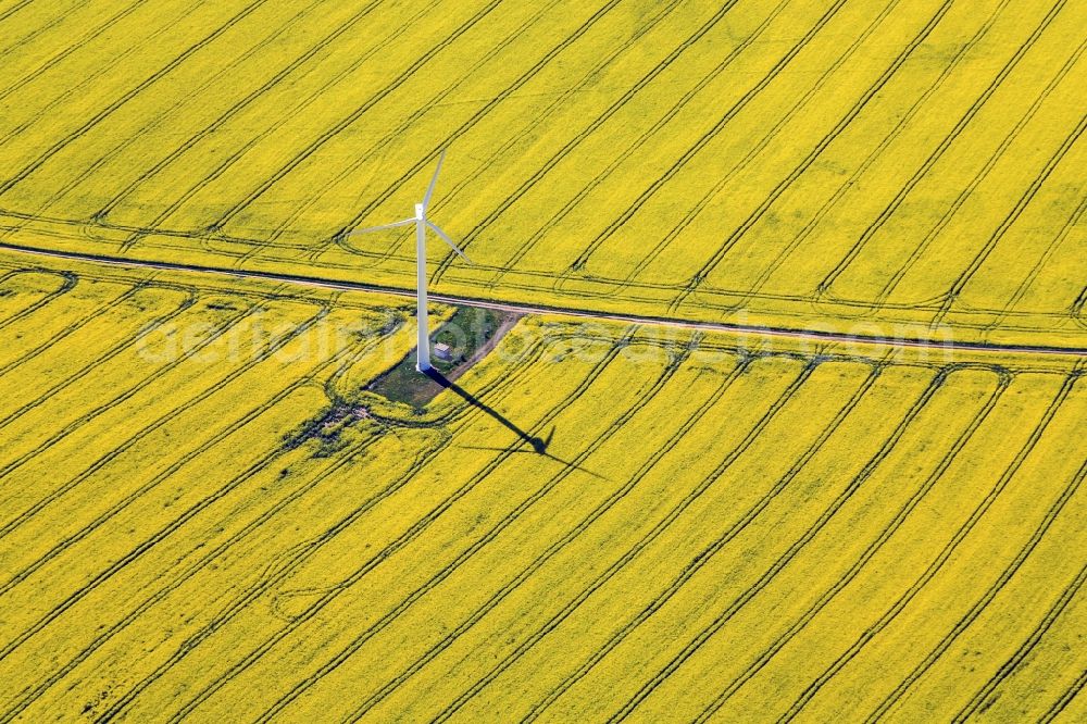 Aerial image Gefell - Wind turbine in a blossoming rape field in Gefell in Thuringia