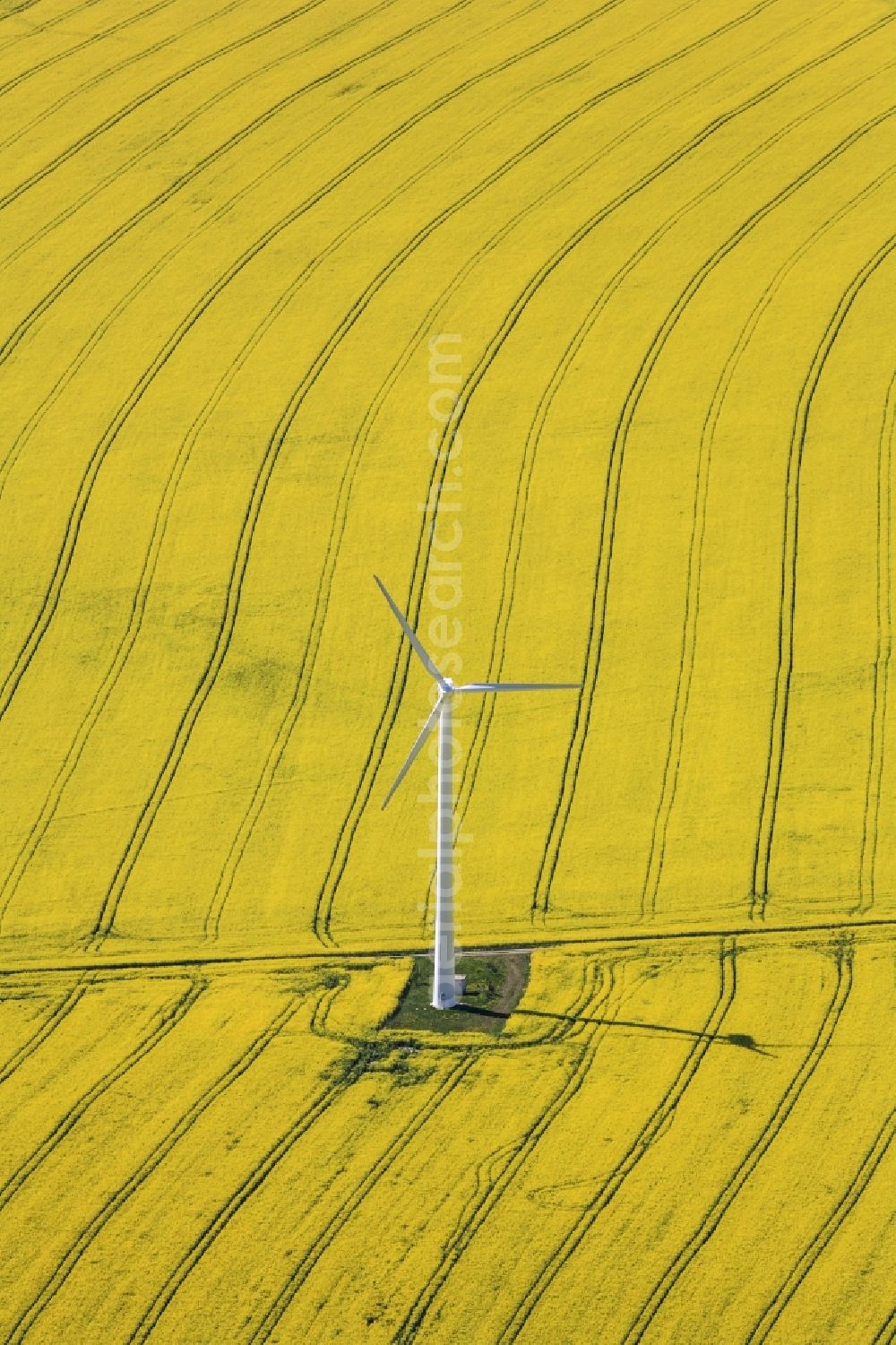 Gefell from the bird's eye view: Wind turbine in a blossoming rape field in Gefell in Thuringia