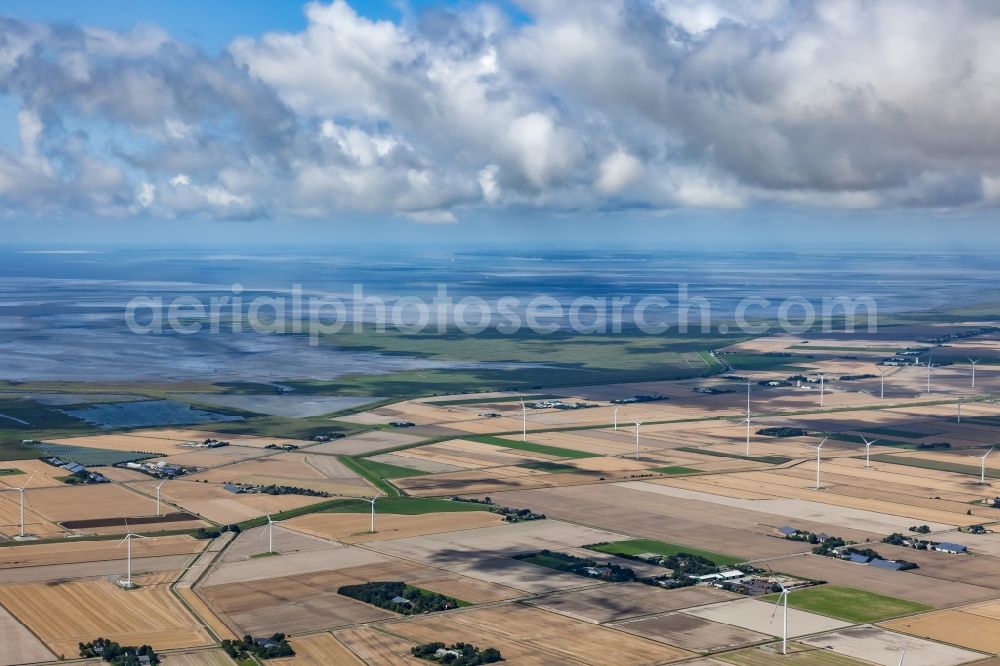 Aerial photograph Reußenköge - Wind turbines of a wind power plant on agricultural land and fields in Reussenkoege in North Friesland in the state Schleswig-Holstein, Germany