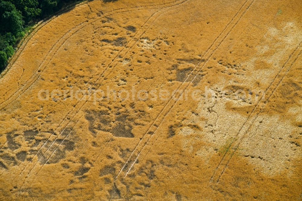 Aerial image Falkenberg - Wind damage in field structures in Falkenberg in the state Brandenburg, Germany