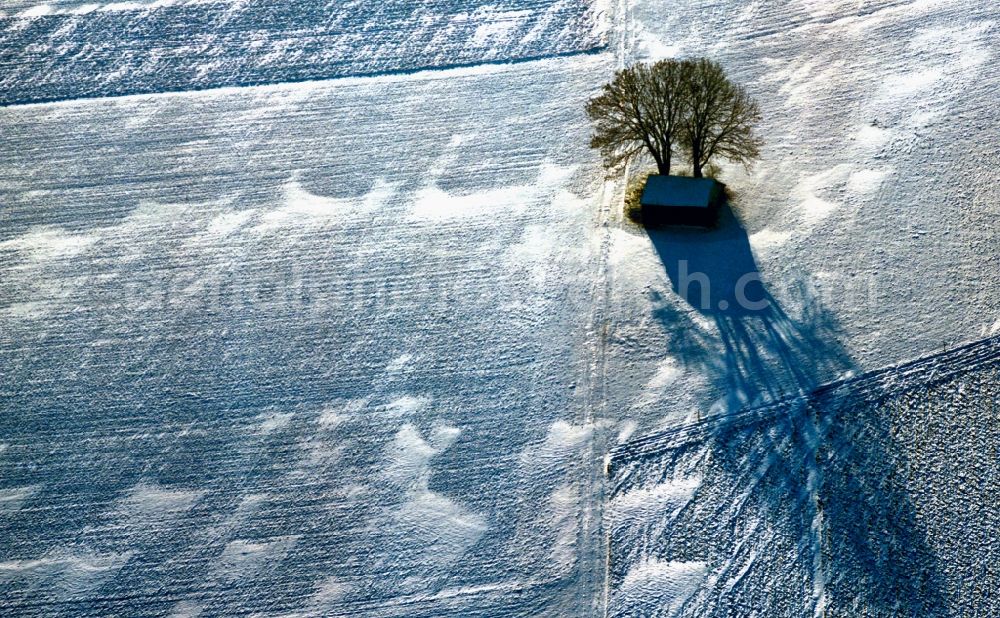 Aerial photograph Würzburg - Winter - Landscape with trees in snow field on the outskirts of Würzburg in Bavaria