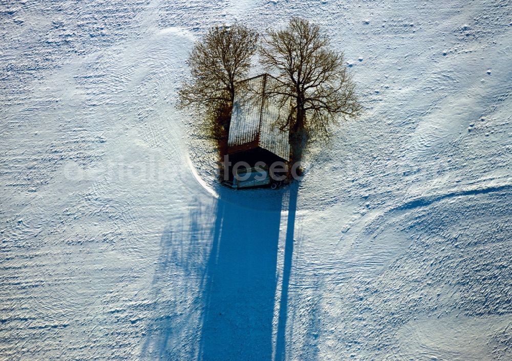 Würzburg from above - Winter - Landscape with trees in snow field on the outskirts of Würzburg in Bavaria